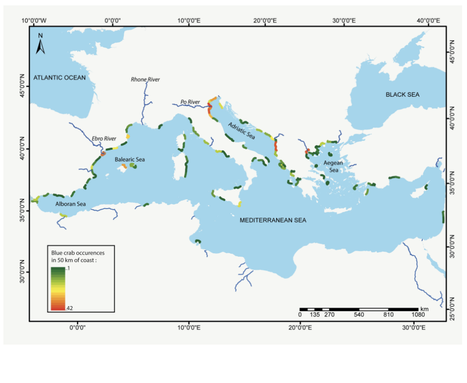 Map of the Mediterranean showing where the blue crab is already present