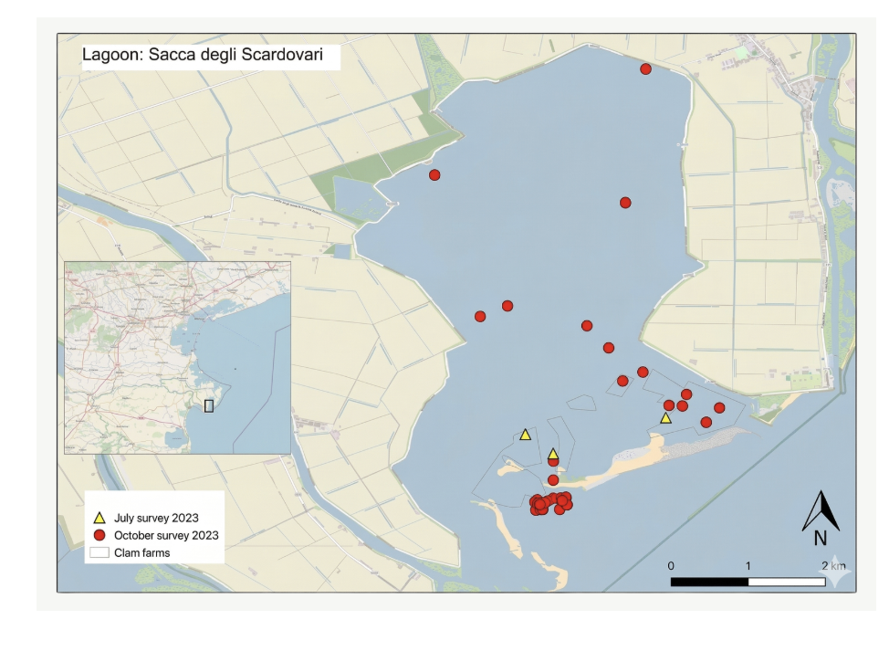 Map of sampling sites in Sacca degli Scardovari lagoon