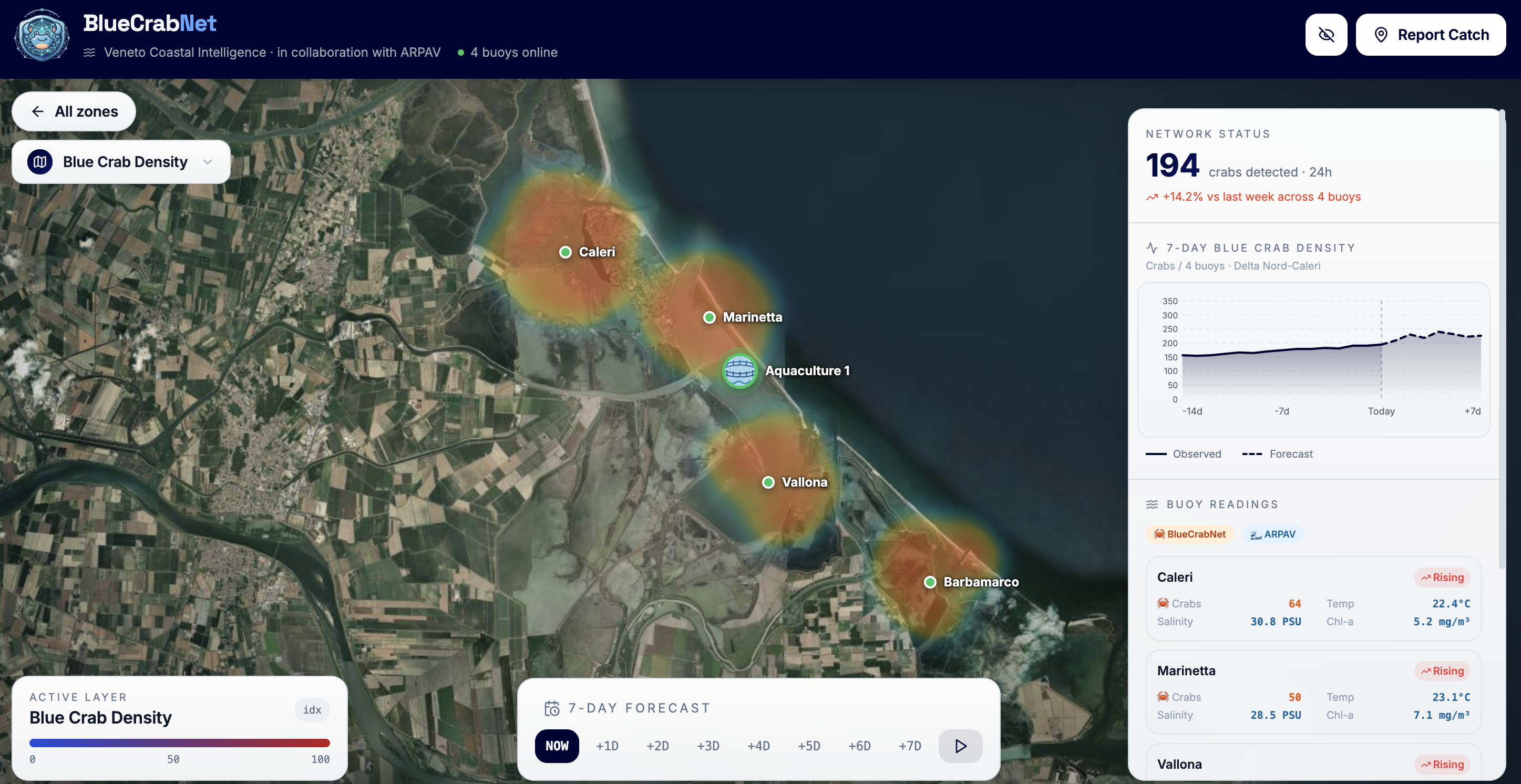 BlueCrabNet platform: a live satellite map of the Veneto coast with buoy markers showing crab density, a 7-day forecast chart and live buoy readings.